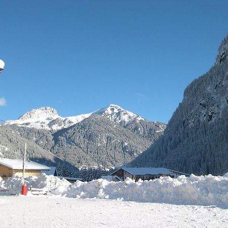 Hotel Ladina Campitello di Fassa Εξωτερικό φωτογραφία